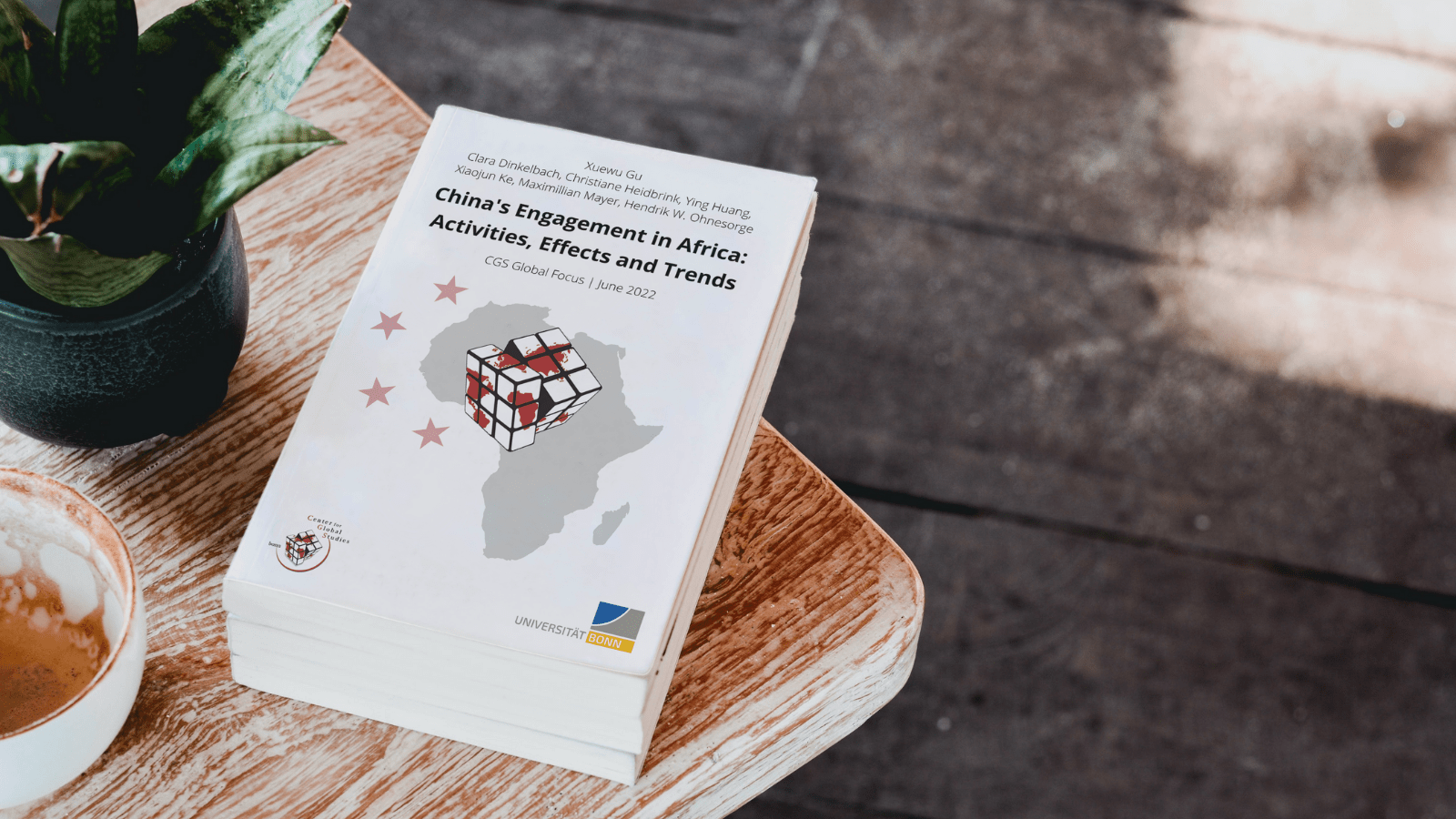Out now: “China’s Engagement in Africa: Activities, Effects and Trends”